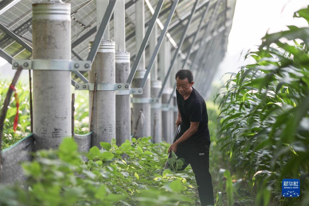 永盈会网址
